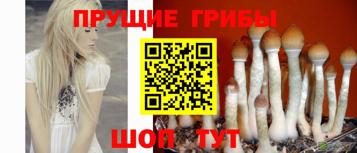 Галлюциногенные грибы MAGIC MUSHROOMS Лесозаводск